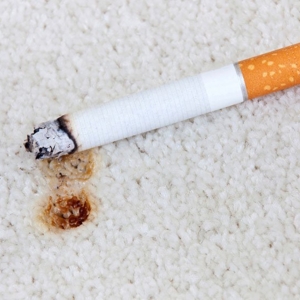 Photo of Secured Carpet Cleaning & Floor Care