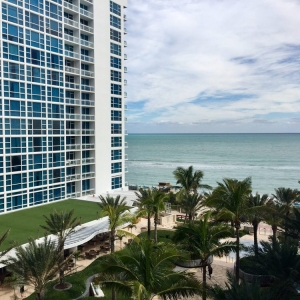 Photo of Best Miami Turf