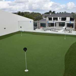 Photo of Best Miami Turf