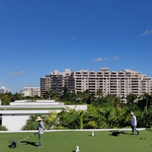 Photo of Best Miami Turf