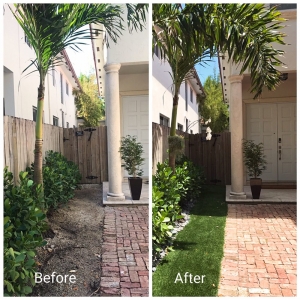 Photo of Best Miami Turf