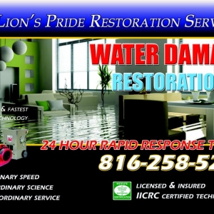 Photo of Lion's Pride Carpet Care & Restoration