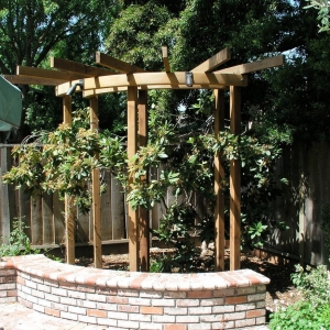 Photo of Alder Landscape Architecture