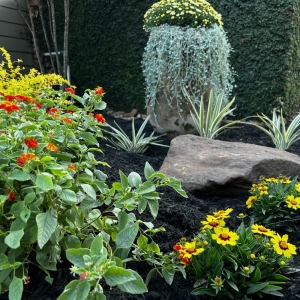 Photo of Purposed Landscaping