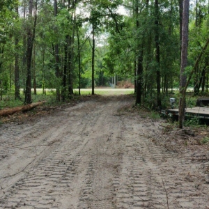 Photo of PayIt Forward Land Development