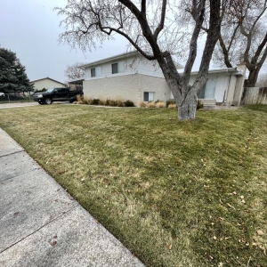 Photo of Above All Landscaping