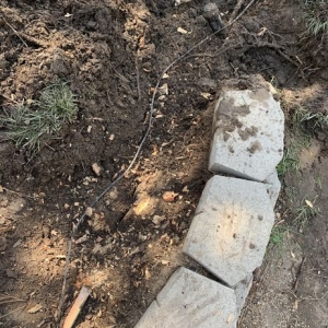 Photo of Above All Landscaping