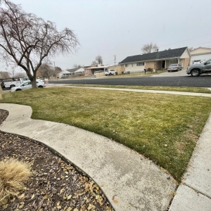 Photo of Above All Landscaping