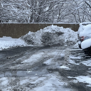 Photo of Above All Landscaping