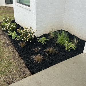 Photo of Eleven Oaks Landscaping
