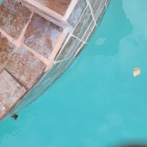 Photo of Scuba Pool Repair