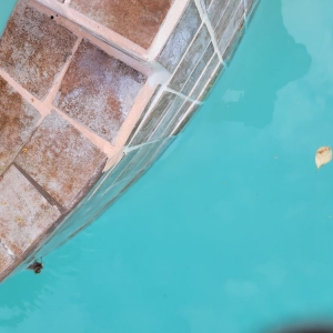 Photo of Scuba Pool Repair