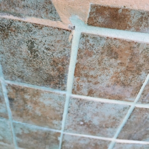 Photo of Scuba Pool Repair