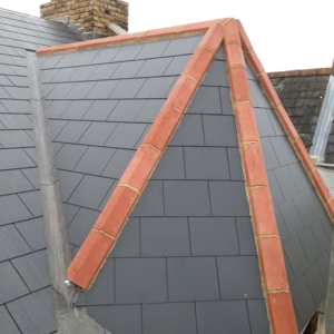 Photo of LF Roofing Services