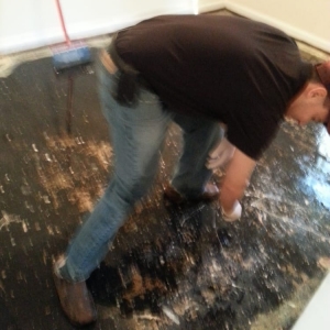 Indian Trail The Carpet Guy
