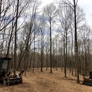 Photo of American Excavation & Land Clearing