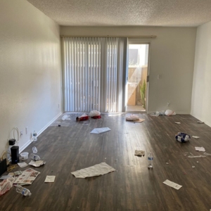 Photo of Perfect Cleanliness
