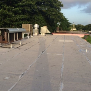 Miramar Tiger & Son Roofing