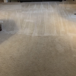 Photo of Chesapeake Bay Cleaning Services