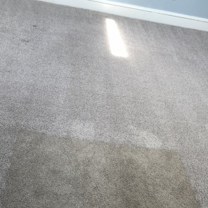 Photo of Chesapeake Bay Cleaning Services