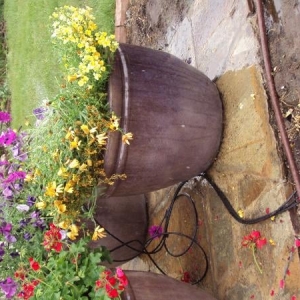 Photo of Olympus Irrigation