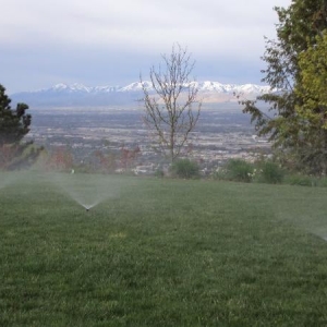 Photo of Olympus Irrigation