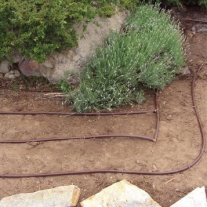Photo of Olympus Irrigation