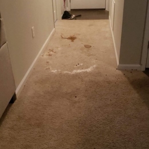 Photo of Columbus Care Floor Restorations