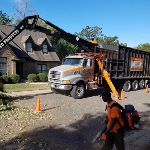 Photo of Cornerstone Tree Service