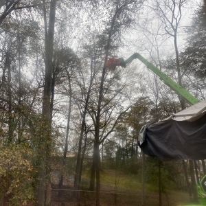 Photo of Cornerstone Tree Service