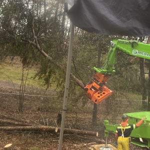 Photo of Cornerstone Tree Service