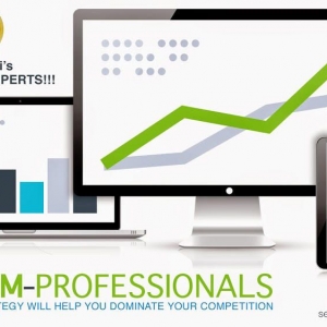 Photo of SEO SEM Professionals