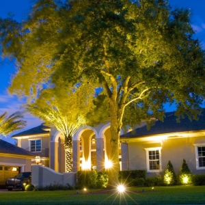 Photo of TLG Landscape