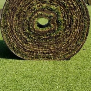 Farmington Jirik Sod Farms