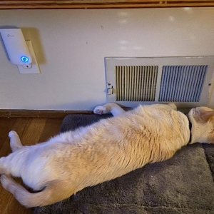 Photo of Energy Stars Heating & Cooling