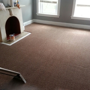 Photo of Capital Carpet Cleaning