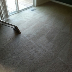 Photo of Capital Carpet Cleaning