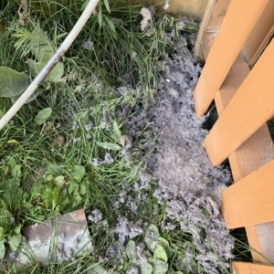 Photo of The Home Air Duct Cleaning