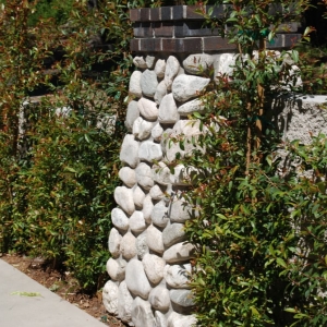 Photo of Tierra Verde Landscape & Masonry