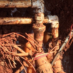 Charlotte Sundance Irrigation