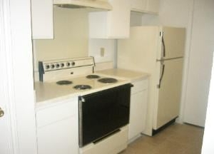 Photo of Lonestar Cleaning Services