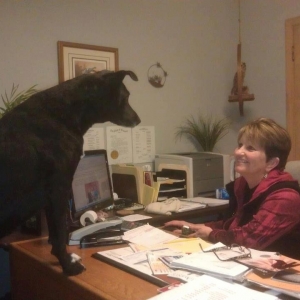 Photo of Liz Gaengel Tax Services