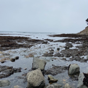Photo of Seal Cove Inn
