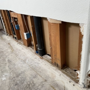 Photo of White Gold Drywall