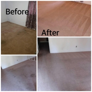 Photo of Midwest Dry Carpet Cleaning