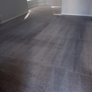Photo of Midwest Dry Carpet Cleaning