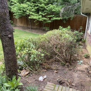 Photo of Peach State Pool Service & Builders