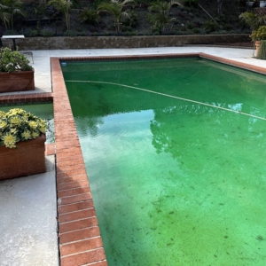 San Diego Michel's Pool Services