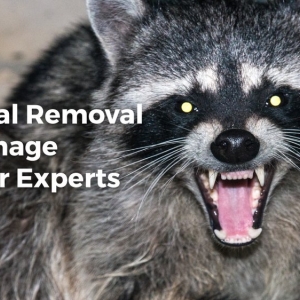 Photo of Newnam Restoration Services