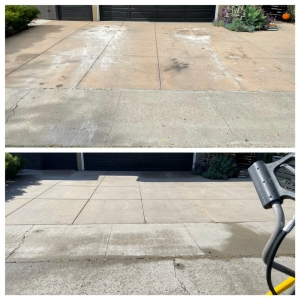 Photo of Crocodile Window Cleaning & Pressure Washing